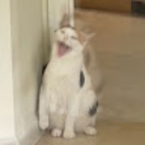 Meet your Posher, Valentina